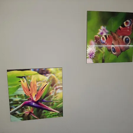 With Balcony, Apartment