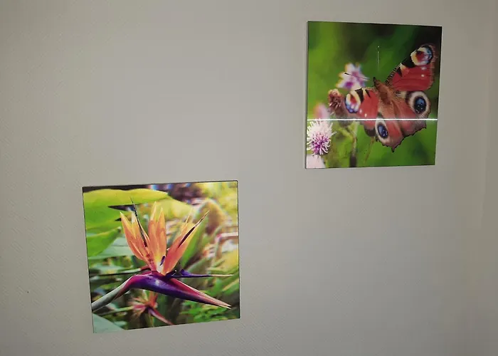 With Balcony, Lejlighed