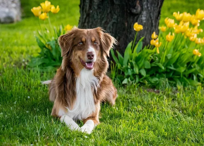 Appartement With Balcony,